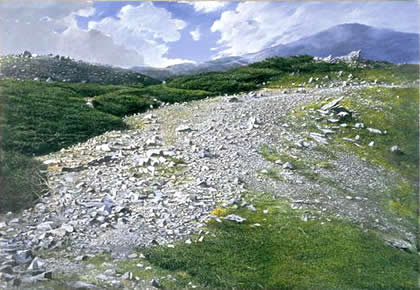縦走路